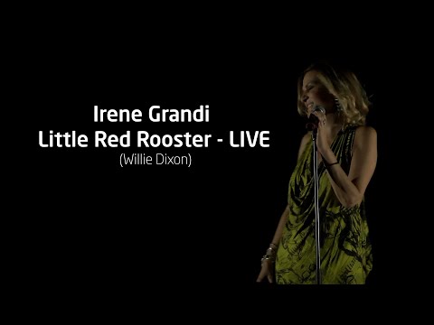 Video thumbnail for Little red rooster