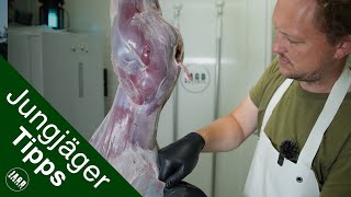 Reh aus der Decke schlagen | Jungjägertipps
