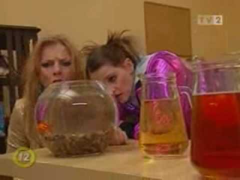 legjobb helyek a pikkelysmr gygytsra