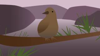 FP - P1 - Title Sequence 'Twin Peaks'