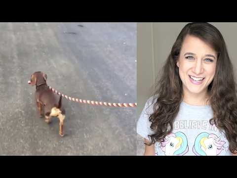 download lagu mp3 mp4 Nackt Reiten, download lagu Nackt Reiten gratis, unduh video klip Nackt Reiten