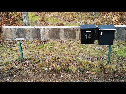 BREDÅKRA - HASSELSTAD - 210104 - The Slow Meadow EDIT - Kallinge/Ronneby (iPhone SE - 2020)