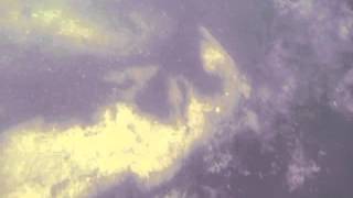 Blackthorn Fishery Shropshire. underwater 2.