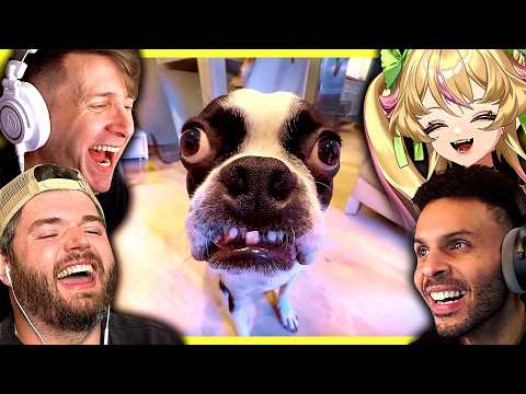 Laughing at Tiktoks with the Vanoss Crew!