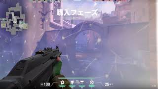 くそ雑魚ミジンコのヴァロラント