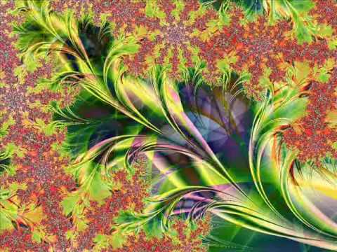 Ibojima - Organic visions