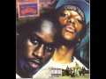 Mobb Deep - Infamous - 16 - Party Over
