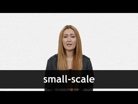 SMALL-SCALE definition in American English