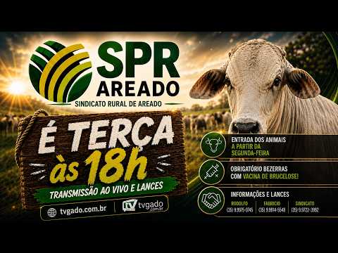 🎥 Leilão Presencial e Virtual Sindicato de Areado - 🎬 tvgado.com.br