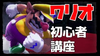 初心者向けワリオ・技＆簡単コンボ講座(試合付き)【スマブラSP】