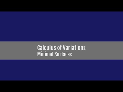 Functionals of Two Independent Variables - Minimal Surfaces