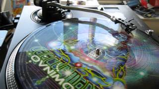 My collection, vinyl psychedelic trance SHAMAN ELECTRO RECORDS