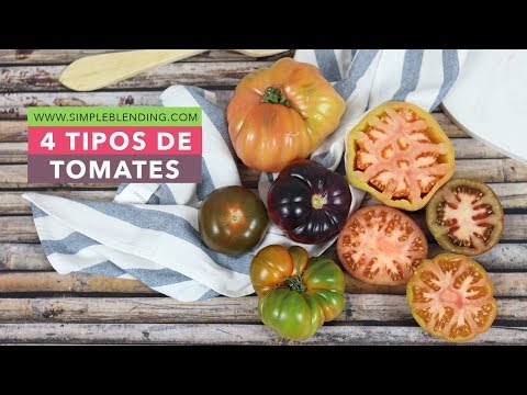 , title : '4 TIPOS DE TOMATES QUE DEBES PROBAR | Tomate Rosa, Raf, Tomate azul y Kumato'