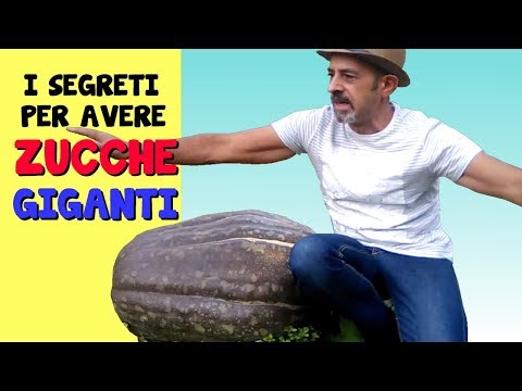 A che vermi di dolore nella parte giusta Medicina per vermi di c