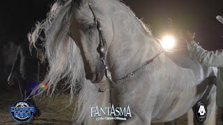 El Fantasma Y Su Equipo Armado - Catarino Y Los Rurales con Guitarras (En Vivo 2016)