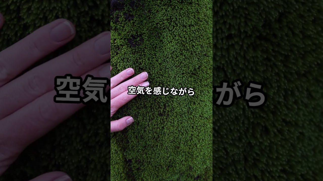 釣れても釣れなくても釣り #fishing#釣り