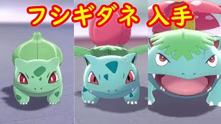 フシギソウ ポケットモンスター タネボー ヌメルゴン ゴロンダ フシギソウ ポケットモンスター タネボー ヌメルゴン ゴロンダ
