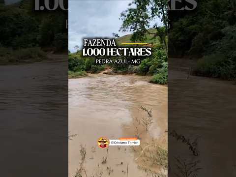 FAZENDA 1.000 HECTARES PEDRA AZUL-MG R$ 7 MILHÕES #fazenda #mercadoagricola #minasgerais #gado #agro