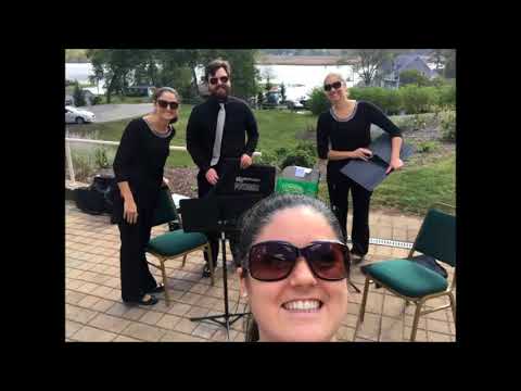 Promotional video thumbnail 4 for Silver Strings Quartet