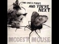 Modest Mouse - Perpetual Motion Machine 
