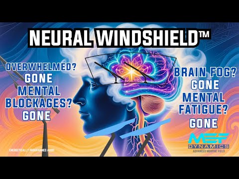 NEURAL WINDSHIELD™