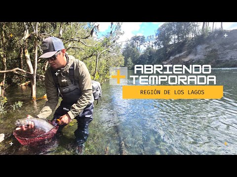 Iniciando temporada 25-26 de Salmoideos en la Región de Los Lagos 🔥🎣 empezó mal pero no defraudó 💪🤯