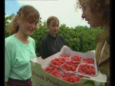 River Cottage - Kapa, kasza, fakanál S01E02