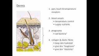 Skin w17   20170416 151231 48