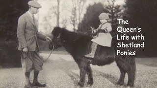 The Queen's Life with Shetland Ponies
