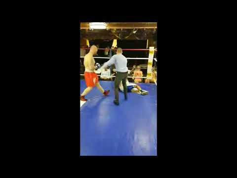 Danijel Boyka pro box brutal KO 2