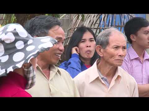 Dân Biển Tìm Cách Học Nuôi Bò Lai Kiếm Tiền Tăng Thu Nhập Cải Thiện Đời Sống l Phú Yên Ký Sự