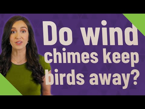 YouTube video about: Will windchimes keep birds away?