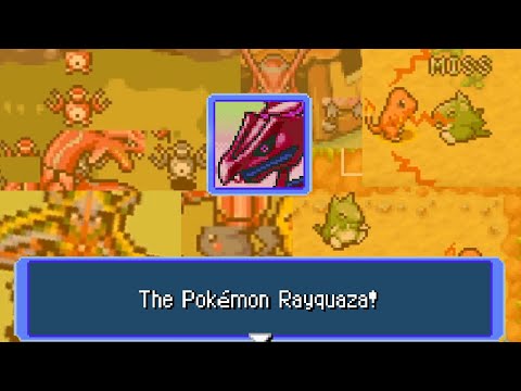 I might have broken Pokemon Mystery Dungeon a little bit...