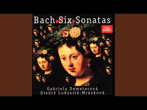 Bwv 1014 - Adagio In B Minor - Johann Sebastian Bach