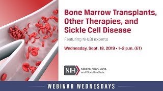 Bone Marrow Transplants, Other Therapies, and Sickle Cell Disease