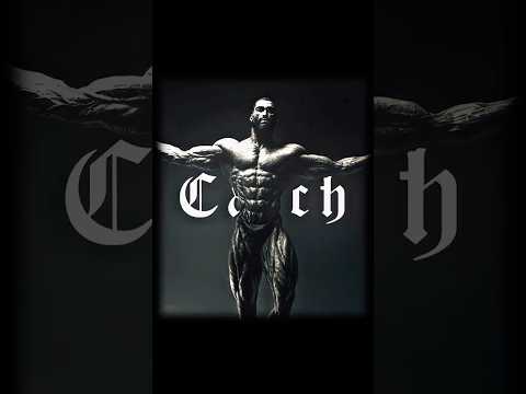 Which is the best meme?