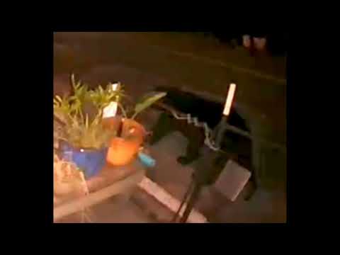 09242023 1001PM #FCBEARS #FSCO #FWC #LANARKVILLAGEFLORIDA