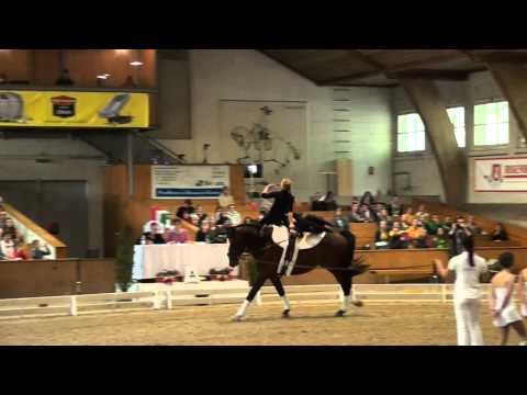 CVI Bern 2015 - Montmirail SUI (CVIJ2*)