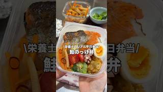 新年度一発目は鮭のっけ弁🐟🌸#お弁当#タッパー弁当#タッパー#鮭弁当#作り置き