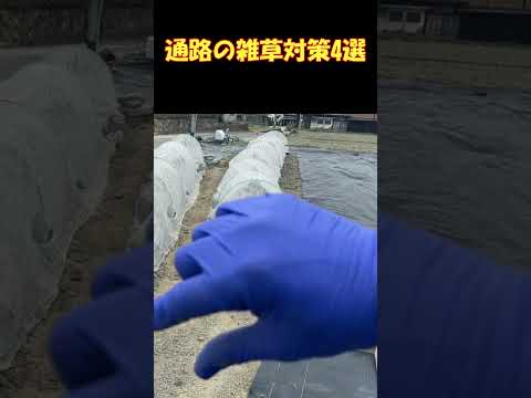 草取りに最適な時期はいつですか?また、雑草のない期間が十分に長く続くことが重要ですか?  庭園