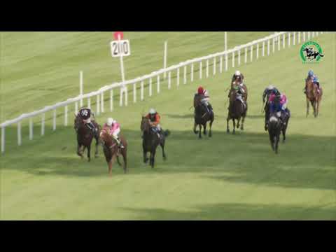 20200816_08_28. Veľká jarná cena Meridian