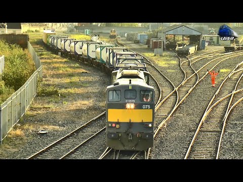 🚂 Irish Class 071 075 Locomotive & IWT Intermodal Train in Dublin Port - 23 October 2024