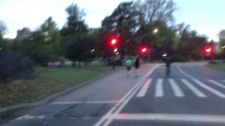 New York Central Park GTA V