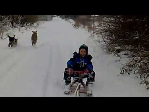 Sánkovačka Tušice