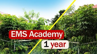 Miyawaki Model Mini Forest at EMS Academy Campus After One Year