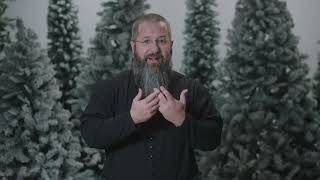 Semana 3 de Adviento: Cuando Dios Convierte tu Desierto en Paraíso