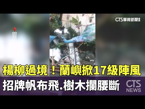楊柳過境！　蘭嶼掀17級陣風　招牌帆布飛.樹木攔腰斷