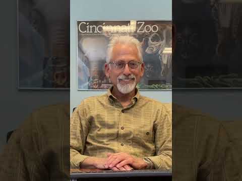 A Word with Stephen Werther! - YouTube