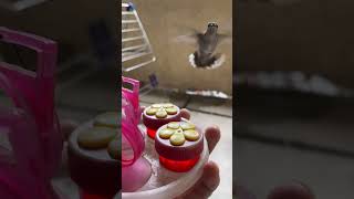 Moving out from Las Vegas. Last meal for you🥹