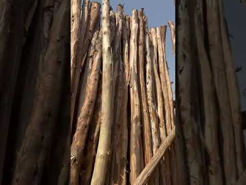 Wood Poles